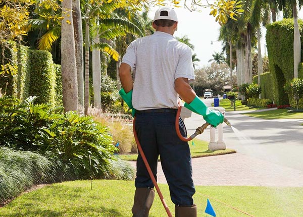 About Bennington NH Pest Control
